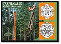 CABLES FORESTALES CABLES FORESTALES